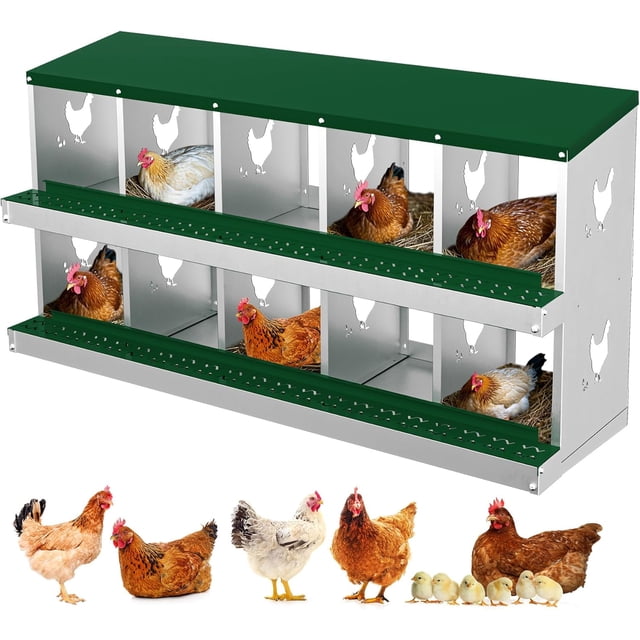 Chicken Nesting Box, 10 Compartment Metal Chicken Nesting Boxes for Chicken Coop, Easy Egg Collection, Easy Cleaning, Chicken Laying Boxes for Hens, Green