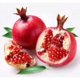 thumbnail image 3 of 25 POMEGRANATE TREE Punica Granatum Red Fruit Seeds, 3 of 5