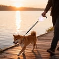 thumbnail image 3 of Laisse pour Chien Réfléchissante Robuste pour Races Moyennes et Grandes avec Poignée Rembourrée Confortable et Attache Métallique Durable, 3 of 4