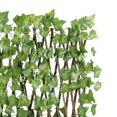 thumbnail image 3 of Langgg Retractable Garden Fence Privacy Screen Outdoor Sweet Potato Leaves, 3 of 9