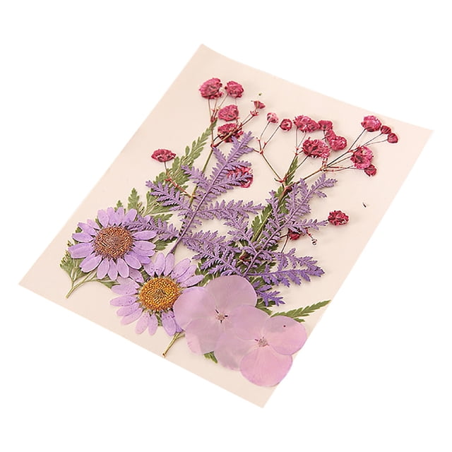 Vaidha Dried And Embossed Flowers For Resin Kit Candles And Crafts