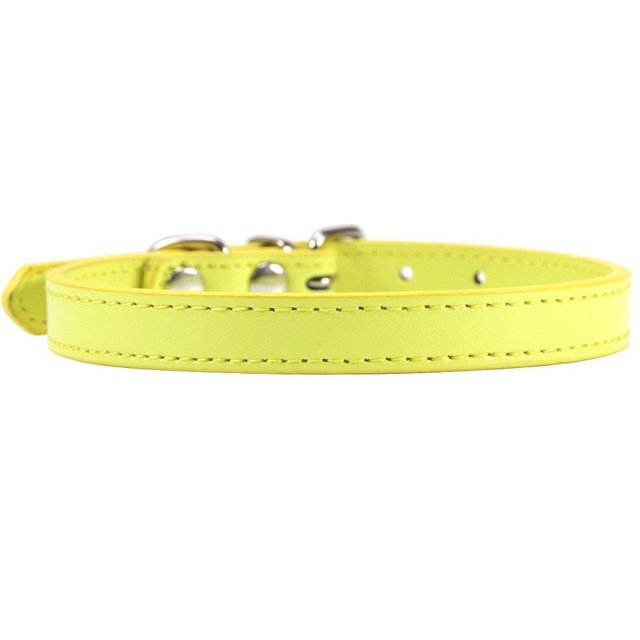 Collier pour Chat en Cuir Personnalisé
