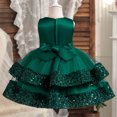 thumbnail image 4 of Birdeem Girls Summer New Sleeveless Ruffled Lace Round-Neck Embroidery Mesh Princess Bow Skirt, 4 of 12