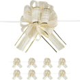 thumbnail image 1 of HLONK 10 PCS Large Pull Bow Gift Wrapping Bows  Pull Bow with Ribbon for Wedding Gift Baskets  Party Gift Wrap Bows  Presents Decorating Bows Blue, 1 of 5