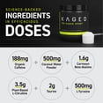 thumbnail image 3 of Kaged Muscle, PRE-KAGED Sport, Pre-Workout Performance Formula, Mango Lime, 9.38 oz (266 g), 3 of 8