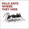 thumbnail image 3 of Raid Ant Nest Destroyer Insect Killer Spray, for Outdoor Use, 400g, 3 of 8