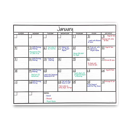 Officeaid Large Laminated Dry Erase Wall Calendar (Large (36" * 48"))