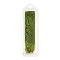 thumbnail image 2 of Aneth frais Mon marché fraîcheur 7 g, 2 of 2