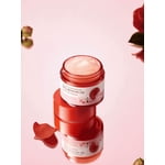 Round Lab Camellia Deep Collagen Firming Cream 50ml