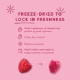 thumbnail image 4 of TRUFRU FRAMBOISES, 4 of 5