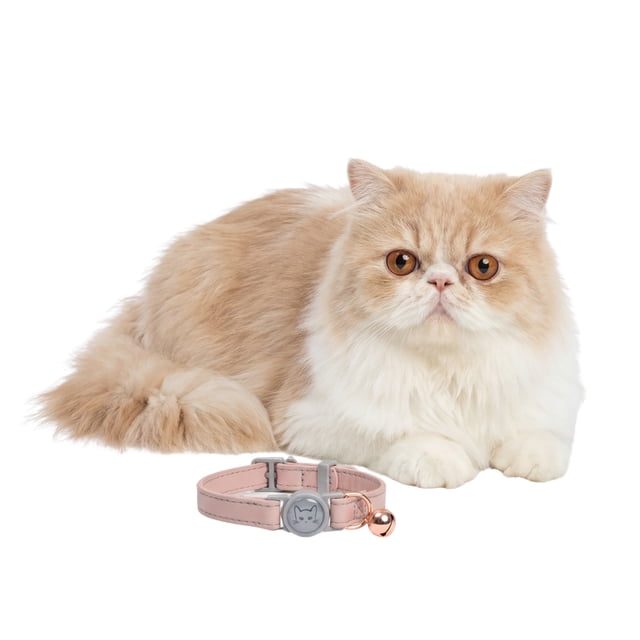 One Paw, Vegan Leather Safety Cat Collar, Breakaway Buckle, for Cats
