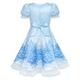 thumbnail image 2 of Robe Fille Bleue Neige Reine Château de Neige Fête Princesse 4 Ans, 2 of 6