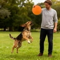 thumbnail image 3 of Oliegs Blanket Rubber Chew Proof Disc For Outdoor Training & Interactive Play NonSlip Mental Simulation Outdoor Training Disc, 3 of 4