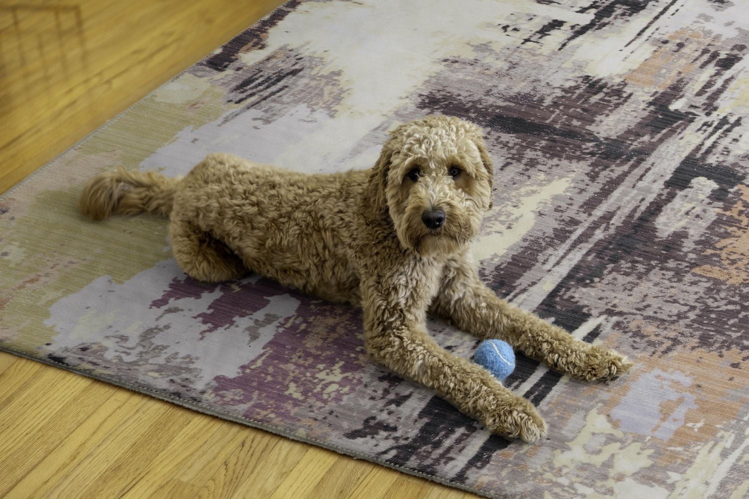 Tapis lavable Klarna 5 pi x 7 pi ivoire et violet