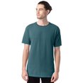 thumbnail image 1 of Hanes Mens Big ComfortWash Garment Dyed Short Sleeve Tee, 3XL, Cactus, 1 of 2