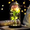 thumbnail image 2 of Everlasting Flower LED Artificial Eternal Rose Glass Cover  Mother Valentines Gift Home Decor, 2 of 6