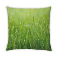 thumbnail image 2 of Ahgly Company Plants Grass Outdoor Throw Pillow, 18 inch by 18 inch, 2 of 6