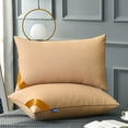 thumbnail image 1 of Bed Pillows for Sleeping Standard Size,2pc Hotel Collection Bed Pillows,Feather Velvet Pillow Core Soft and Supportive Down Bed Pillow Suitable for Back Side and Stomach Sleepers Skin-friendly Cotton, 1 of 6