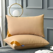 Deal of The Day ! Aqestyerly Feather Velvet Hotel-Grade Pillow Core Soft and Supportive Down Bed Pillow Suitable for Back Side and Stomach Sleepers Made of Skin Friendly Cotton Fabric