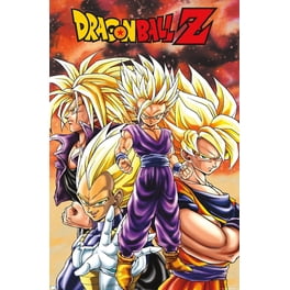GB Eye XPE160446 Dragon Ball Z Goku Poster Print, 24 x 36 - Walmart.ca