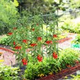 thumbnail image 3 of Costway Lot de 2 Treillis de Jardin 57 Pouces Support pour Plantes et Cages à Tomates avec Hauteur Réglable, 3 of 10