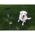 thumbnail image 4 of PooperPicker for Easy And Fast Pickup of Your Pet's Waste, 4 of 5