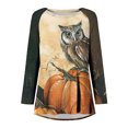 thumbnail image 4 of Costumes d'Halloween pour Femmes 2023 en Liquidation T-Shirt à Col Rond Oversize pour Femmes T T-Shirts à Imprimé d'Halloween T-Shirt à Manches Courtes Blouse Hauts, 4 of 5