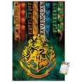 thumbnail image 1 of The Wizarding World: Harry Potter - Emblèmes de maison, 1 of 4