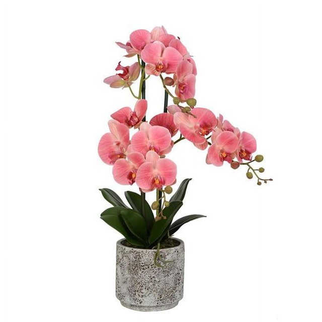 Vickerman FN180801 24 Po. Phal Blanc en Pot de Ciment Pétales Toucher Réel
