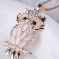 thumbnail image 3 of Jinsinto Jewelry Crystal Opal Owl Pendant Chain Necklace, 3 of 7