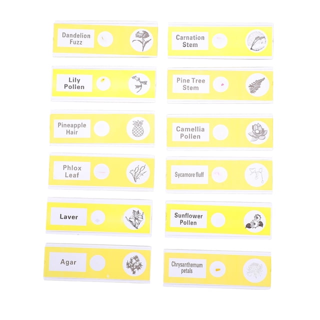 12pcs Prepared Microscope Slides Specimen Plants Sample Specimens Slides