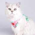 thumbnail image 2 of Sentmoon Laisse pour Chats Harnais pour Chiens et Chats Style Sans Manches Réfléchissant Respirant Laisse Adaptée aux Chats et Chiens Marcheurs en Extérieur, 2 of 7