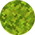 thumbnail image 1 of Ahgly Company Machine Washable Indoor Round Transitional Dark Lime Green Area Rugs, 3' Round, 1 of 7