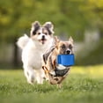 thumbnail image 4 of TIELUTT Dog Tug Toy Training Interactive Play Dog Pillow for Small Medium Dog Dog Cute Dog for Small Dogs under 5 Cute Dog for Large Dogs Shoes for Dogs Squeaky Dog for Aggressive Chewers Large Knotte, 4 of 4