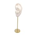 thumbnail image 2 of Earring Display Stand Human Ear Model show Stud Stud Holder Showcase Jewelry Organizer Left Ear White, 2 of 9