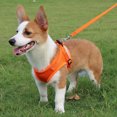 thumbnail image 4 of Flmtop Traction Rope 360 Degree Reflective Design Explosion Proof Polyester Pet Dog Chest Strap for Outdoor Navy Blue, 4 of 9