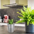 thumbnail image 3 of Small Plant Bucket Metal Bucket Metal Bucket With Handle Flower Bucket Floral Arrangement Vase Plant Bucket (S), 3 of 8
