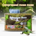 thumbnail image 3 of Compressed Sphagnum Moss for Potted Plant Orchid Potting Mix Peat Moss Pole, 3 of 8