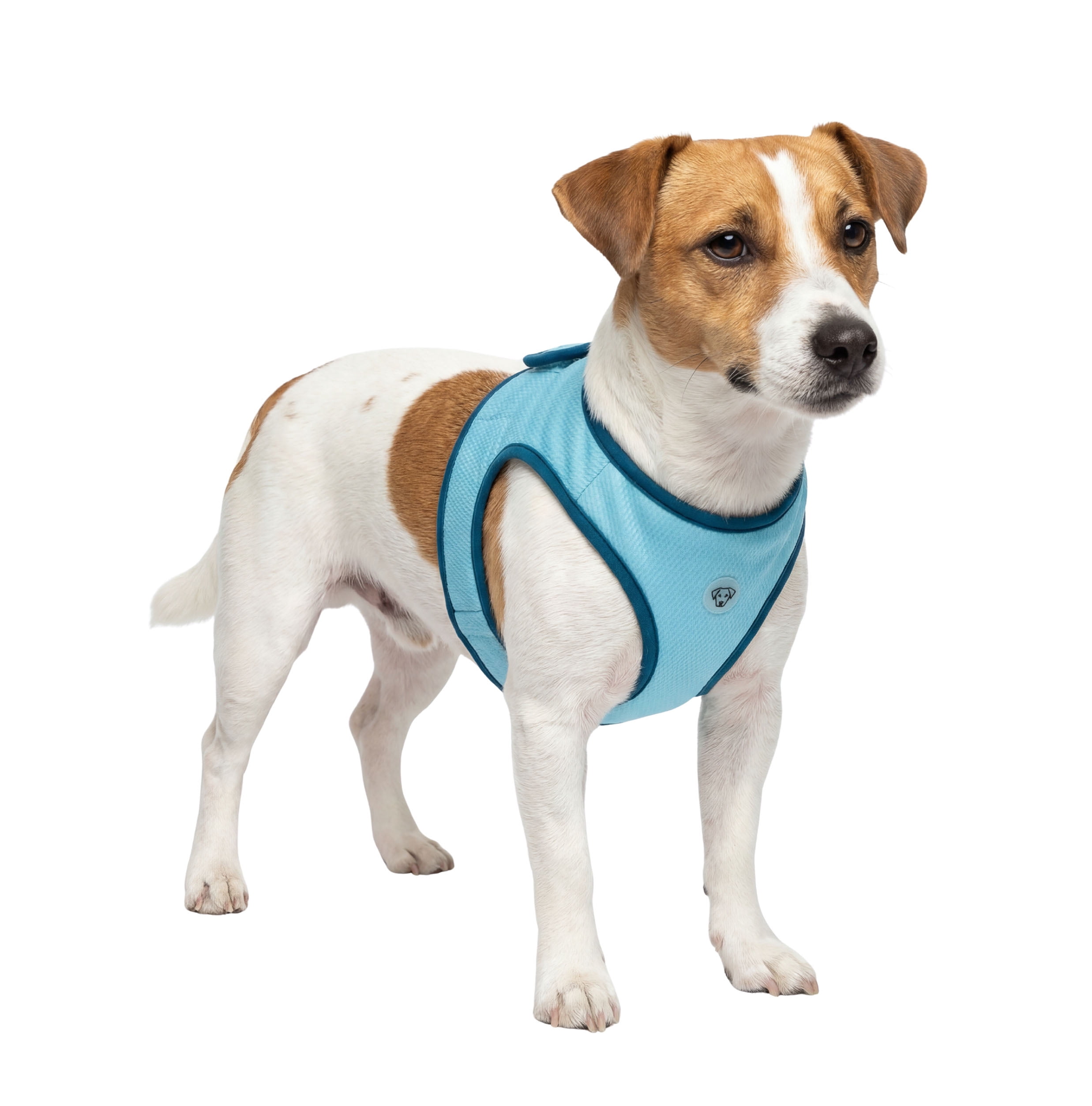 One Paw, gilet rafraîchissant pour chien, léger, rafraîchissant, bleu, parfait pour l'été, pour chiens