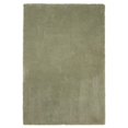 thumbnail image 1 of HomeRoots 353426 27 x 45 in. Polyester Sage Area Rug, 1 of 7