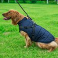 thumbnail image 4 of Pet Dog Jacket With Harness Windproof Winter Pet Dog Padded Coat Clothes, 4 of 6