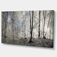 thumbnail image 2 of Design Art - Matin Sombre dans un Panorama de Forêt, 2 of 3