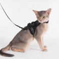thumbnail image 1 of Escape Proof Reflective Cat Harness and Leash Set with GPS Tracker Pouch for Small Cats, 1 of 8
