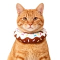 thumbnail image 3 of Product Classification Cat Soft Collar Adjustable Donut E Collar for Recovery Stop Licking and Promote Safe Neck for Indoor Use, 3 of 3