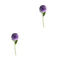 thumbnail image 1 of Baohd 1/2/3/5 10pack/lot Realistic Appearance Artificial Flower For Party Decor And Home Decor Purple 2PCS, 1 of 6