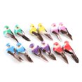 thumbnail image 2 of Garden Decoration,12Pcs Cute Artificial Feather Simulation Bird Plant Decoration Optimal Efficiency, 2 of 14