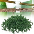 thumbnail image 1 of EGNMCR Grapevine Flower Lattice Clip Support Clip Luffa Cucumber Clip Vegetable Plant Support Clip bracket clip, 1 of 3