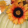 thumbnail image 3 of Citrouille verte au tournesol, 3 of 6