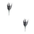 thumbnail image 1 of mmirethe 2x Artificial Plant And Wide Range Of Uses For Any Space Realistic black 2Set, 1 of 6