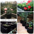 thumbnail image 5 of LYUMO Gallon Black Plants Vegetable Flower Growing Bag, 5 of 5
